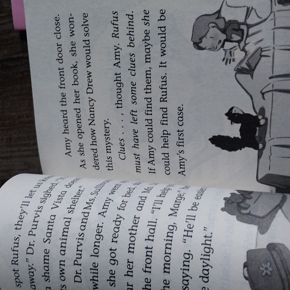 2 chapter books - Picture 2 of 3